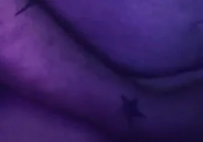 Wixen Wiles 4