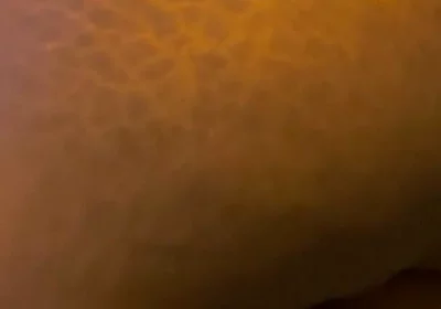 Big Black Ass