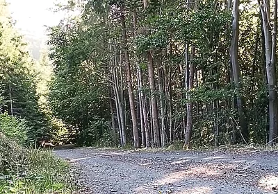Scooter Rider Outdoor Masturbation