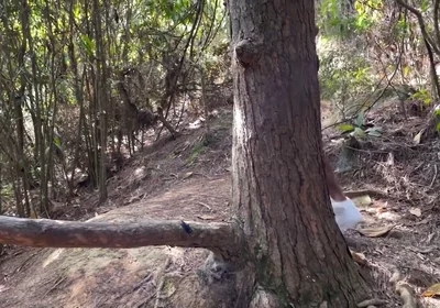 A Curious Heterosexual Boy Saw Me Masturbate in the Forest and We Ended up Fucking