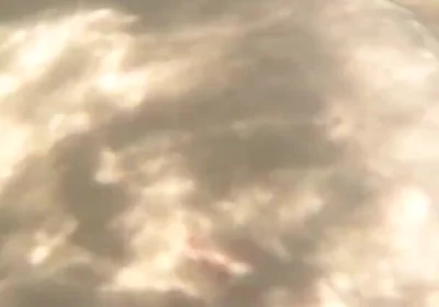 I Cum Just for the Pleasure of Feeling Free, Naked on a Public Beach