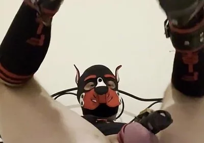 Gaping Gay Puppy Ass After Heavy Fisting Night