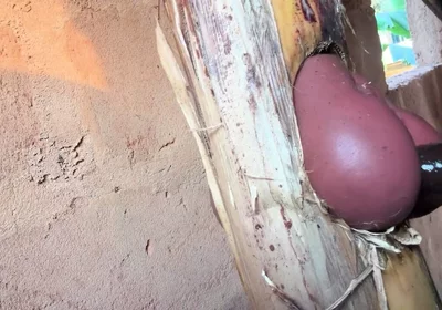 The Prisoner Find Hard Way to Sex