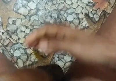 Desidanish