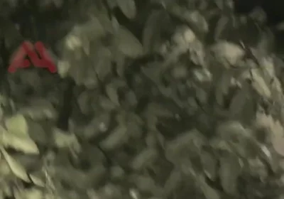 Amateur Boy Sucks a Guy He Found Jerking-off in the Street