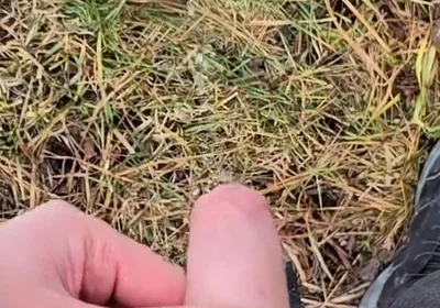 A Bit Risky Peeing - POV Outdoor Male Pee During a Nature Walk
