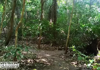 Cumming in the Park