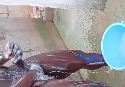 BBC Massage Orgys in Africa
