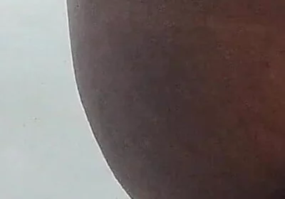 Putting Brush in My Asshole and Jerking off Dick in Fully Mood