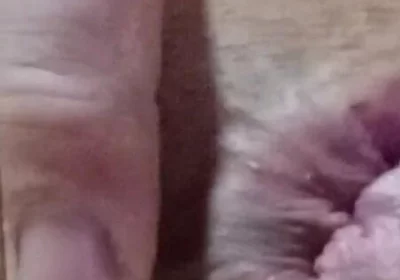 Dildo Xxl Home