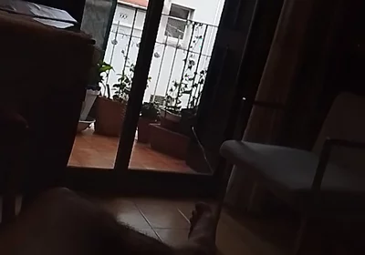 Through the Window