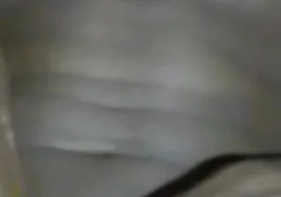 Teasing Slapping My BBC Jerking off Cumming Hard