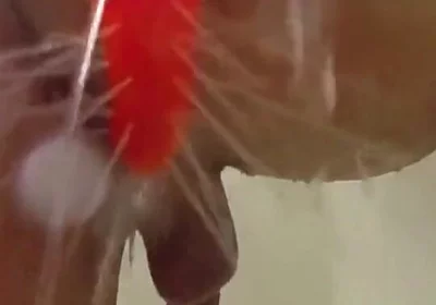 Using a Shower Spray Dildo
