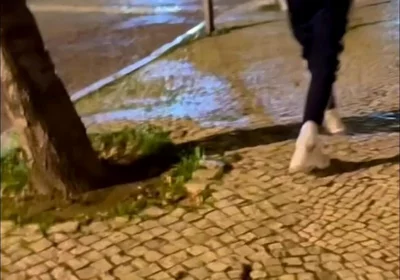 Compilation of Amateur Boys Flashing Their Ass in the Street