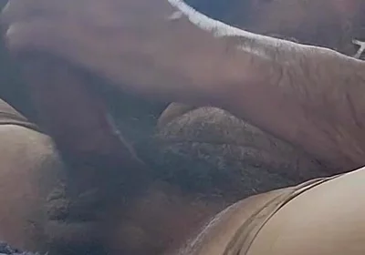 Cumming in Nylons and Heels with Vibrator in My Ass