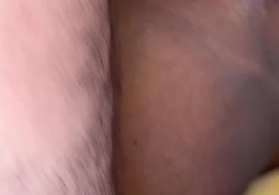 Lobo & Bear Vs Toro