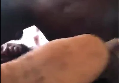 Good Fuck