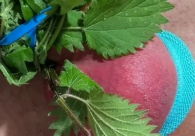 Cum with Nettles Inside Dick
