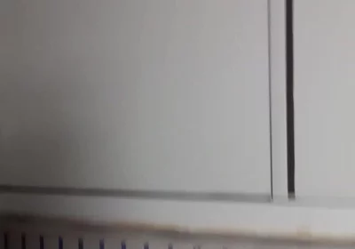 New Masturbation Day