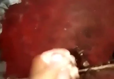867486332044197888.mp4