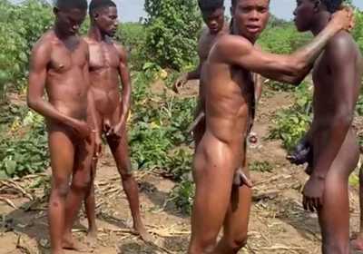 The Corn Shoot Surprise Everyone Is Talking About