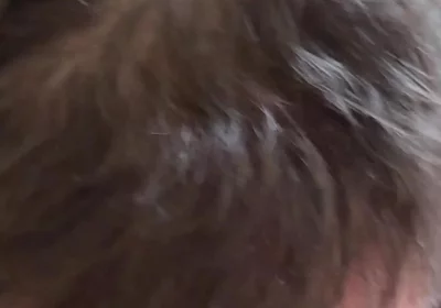 Sucking Asian Bear's Cock