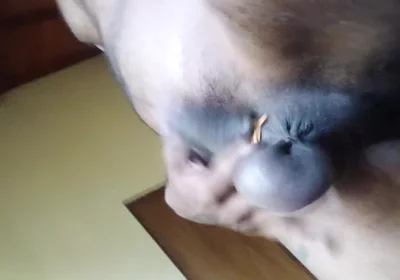 Uncut Cock an Balls Pressure Ring Swing
