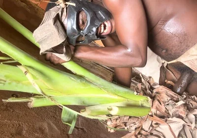 African Jujujar Bangcum