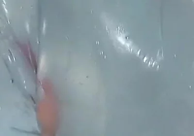I Was Playing with My Homemade Toy When Something Strange Happened