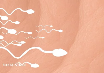 Yaoi: Spermtazoid Game: Level up in Her Stuffed Little Ass