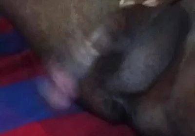Big Black BBC Bull Cock Swingging