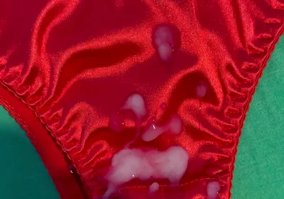Cum on Wife’s Panties 15