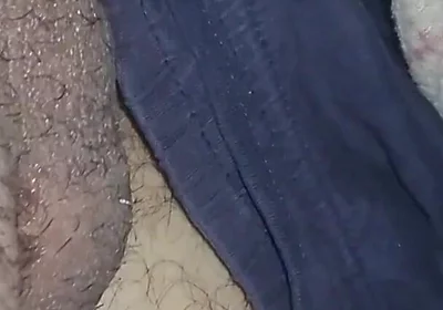 Wanna Suck My Dick