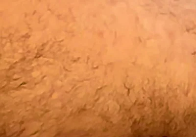 Broken Bear Fuck