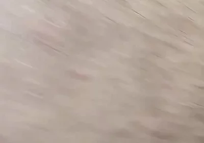 Arab Gay Threesome Fuck My Friend Ass