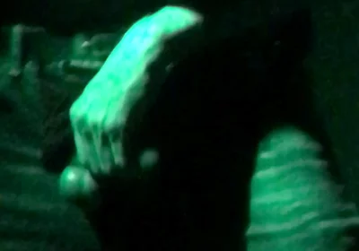 Young Jock Guy Masterbates in Club