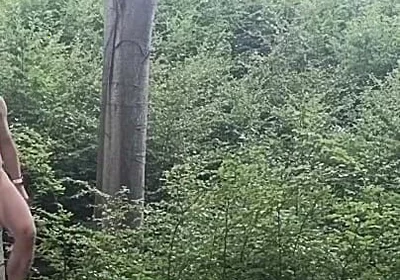 Between the Beeches: Rough Exhibition on Bare Wood