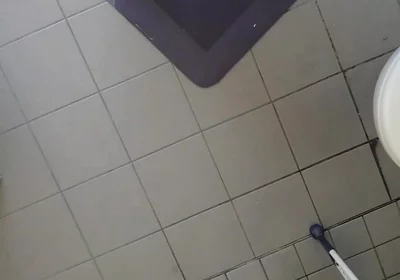 Video Examination of the Neck Holder for Ass