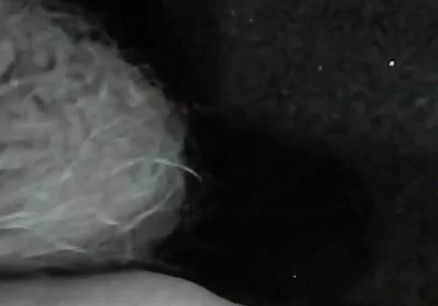 Arc of Sperm, Solo Amateur, Fountain
