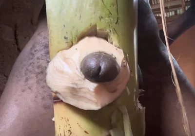 Hoter Way to Be Very Hard Strong Straight Cum Cute