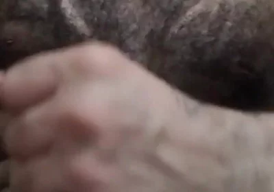 Hard Cock