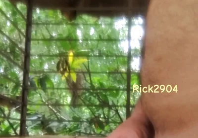 Playing with My Dick