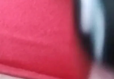 I Like Anal