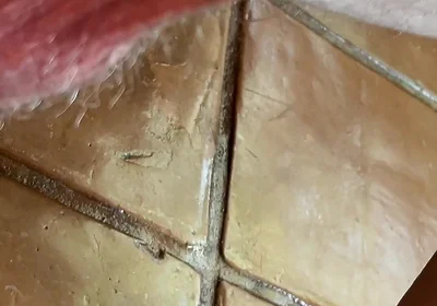 Dirty Talking Precum Covered Sloppy Cock