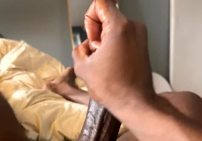 In the Bed