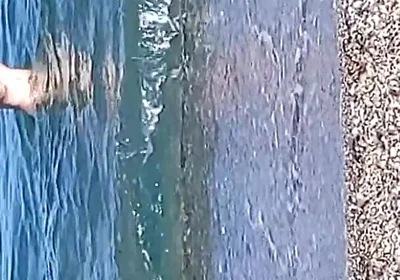 The Water Is Cold Very Cold