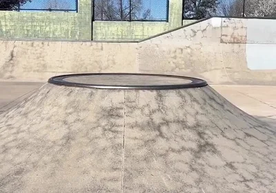 Skate