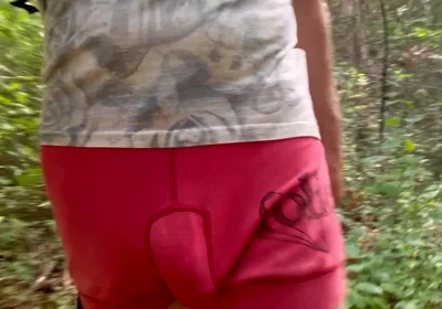 Bulge Walk in a Forest