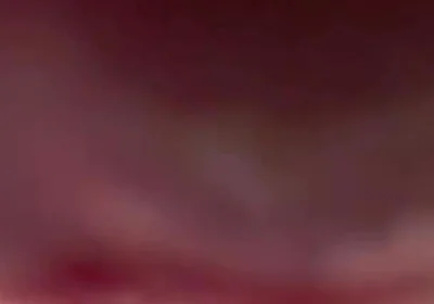 Your POV. Big Femboy Cock Right on Your Face