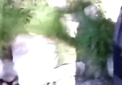 Jon Arteen Pissing Pee Outside. Twink Flirting in a Gay Cruising Park. Sexy Slim Boy in Adidas Sportwear